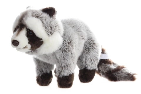 Plüsch-Waschbär 25 cm