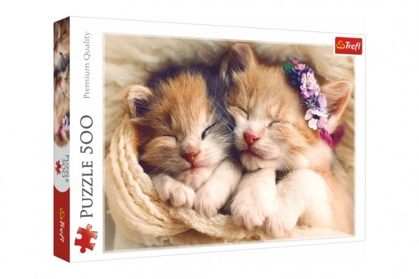 Puzzle 500 Teile schlafende Kätzchen Trefl