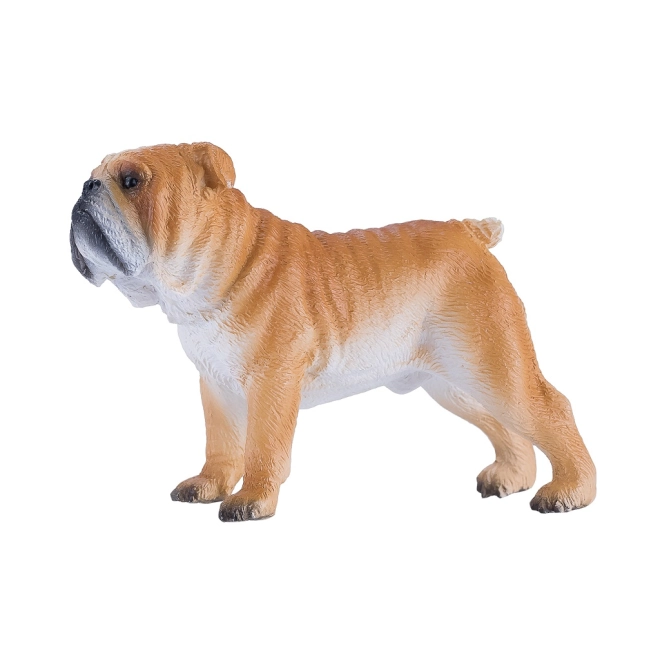 Realistische Darstellung der Englischen Bulldogge