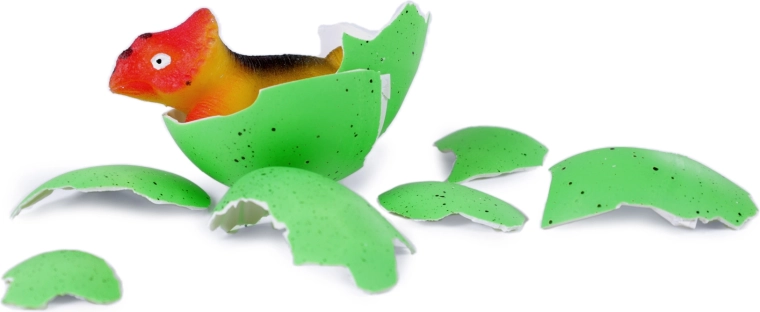 Magisches Schlüpfen vor deinen Augen