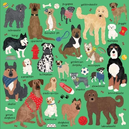 Puzzle Hunderassen Mudpuppy 500 Teile