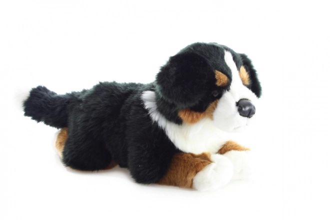 Plüsch Berner Sennenhund 40 cm