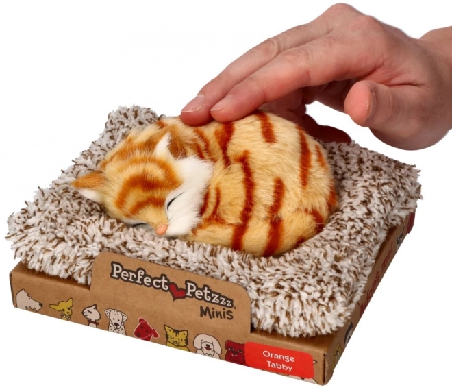 Perfect Petzzz Kleiner Gestreifter Roter Kätzchen