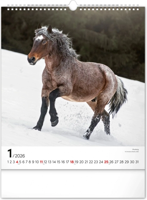Wandkalender Pferde 2026
