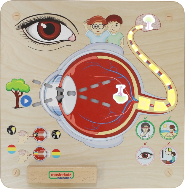 Masterkidz Edukative Seh-Tafel Montessori