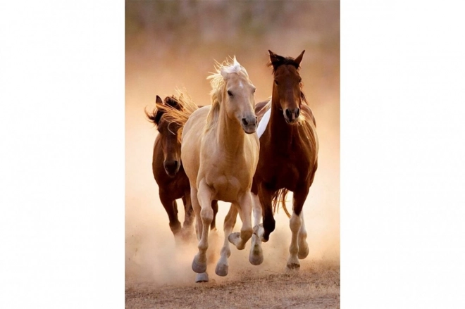 Puzzle Laufende Pferde 1000 Teile