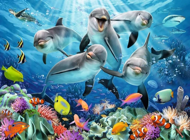 Beeindruckendes Motiv mit Delfinen und Korallenriff
