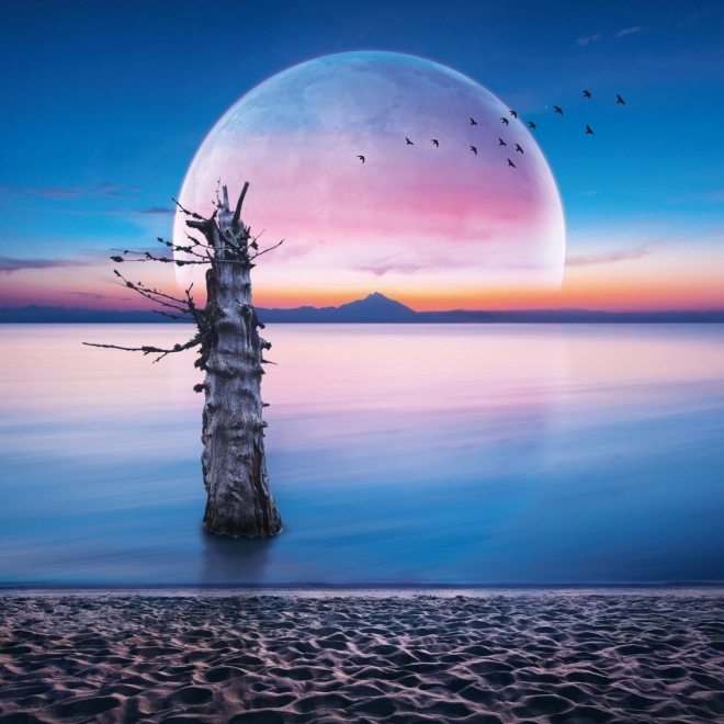 Notizkalender Mond 2026
