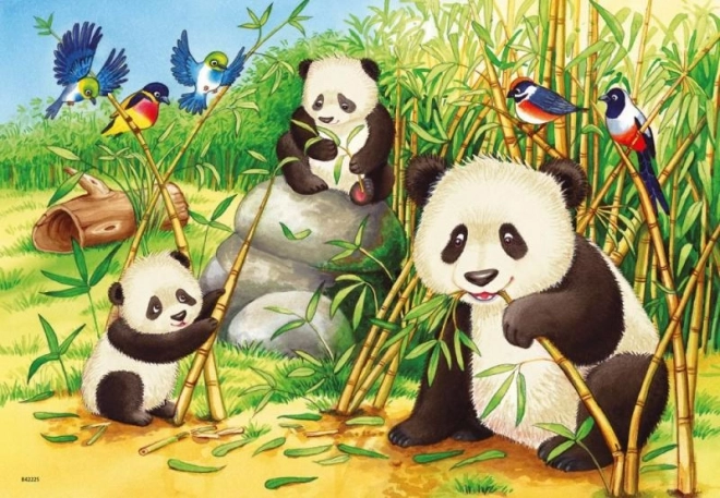 Ravensburger Puzzle süße Koalas und Pandas