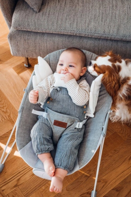 Vibrierendes Babylehnsessel mit Flügeln