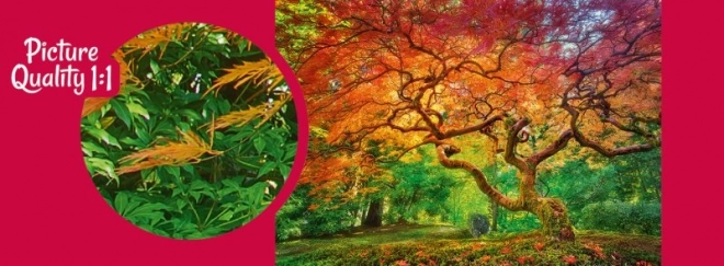 Cherry Pazzi Puzzle Baumkrone 1000 Teile