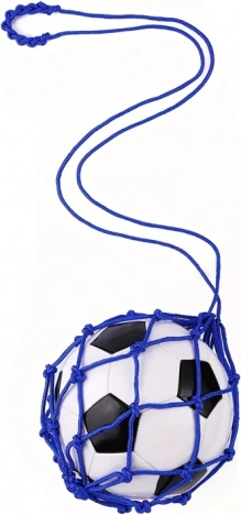 Fußballtrainer