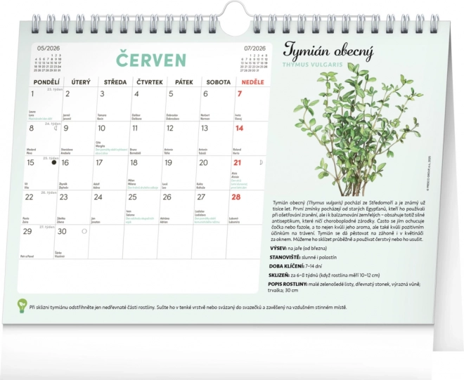 Notique Monatsplaner Kalender mit Samen 2026