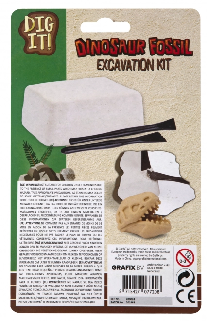Fossilien-Ausgrabungsspaß Set
