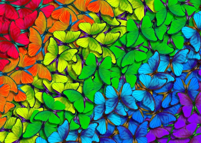 Puzzle Regenbogen Schmetterlinge 1000 Teile
