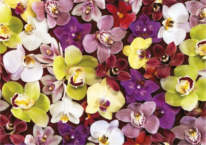Educa Puzzle Orchideen Collage 1000 Teile