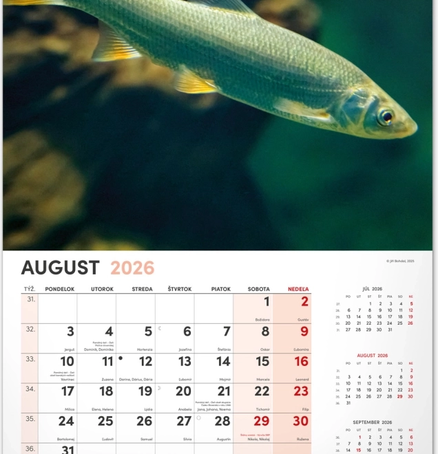 Wandkalender Angeln 2026