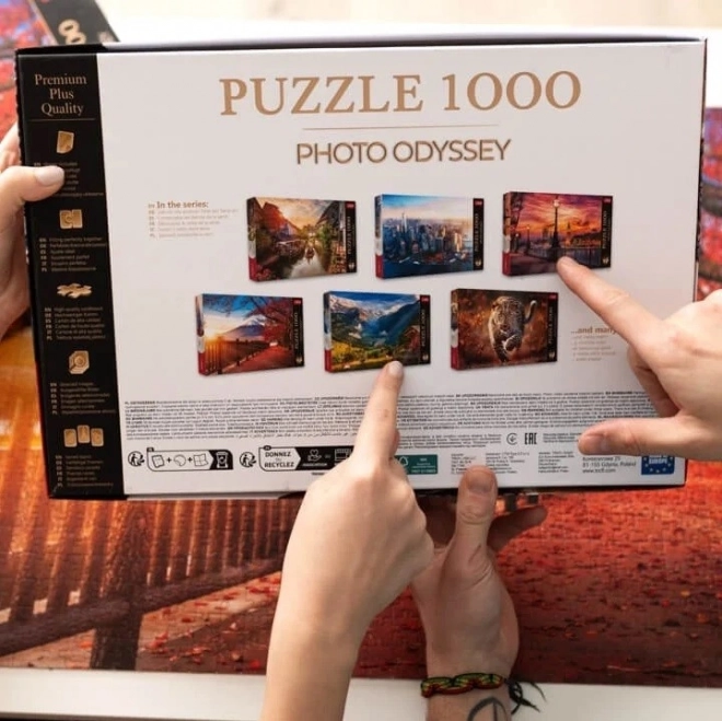 Puzzle 1000 Teile - Premium Plus Foto-Odyssee Schweriner Schloss Deutschland