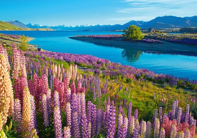 Puzzle Lake Tekapo Neuseeland 500 Teile