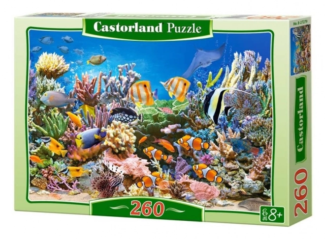 Castorland Puzzle Farben des Ozeans