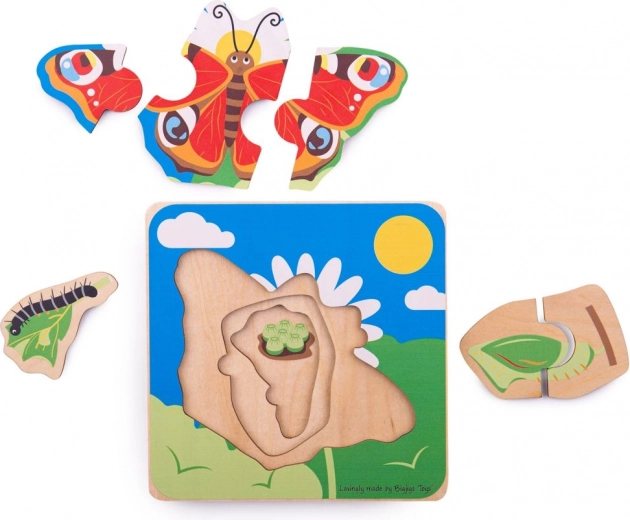 Anschauliches Lernen des Lebenszyklus