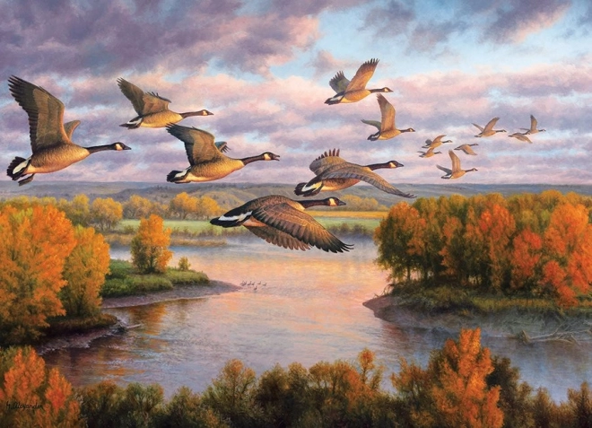 Puzzle Migration COBBLE HILL 1000 Teile