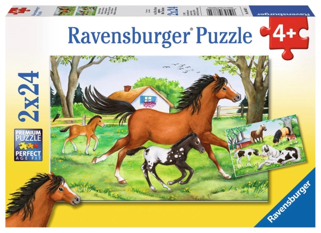 Zwei Puzzles in einem: 2×24 Teile