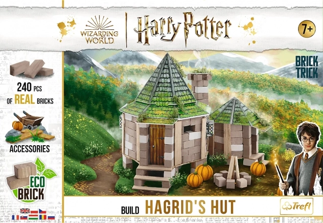 Harry Potter: Hagrids Hütte Baukasten