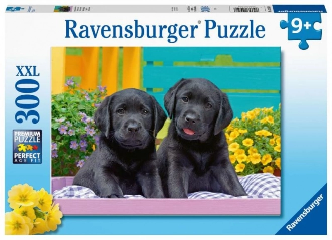 Ravensburger Puzzle Schwarze Labradore XXL 300 Teile