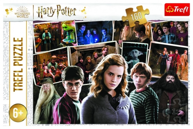 Harry Potter Puzzle mit Freunden 160 Teile