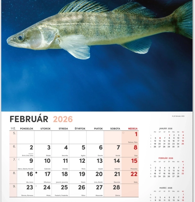 Wandkalender Angeln 2026