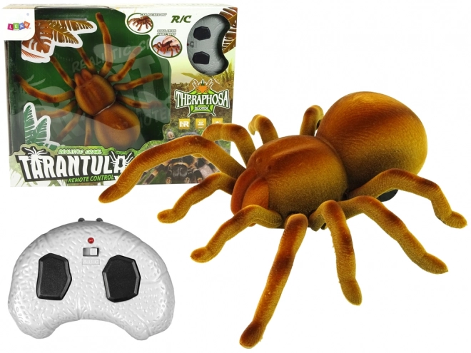 Fernbedienung Tarantel Spinne Braun