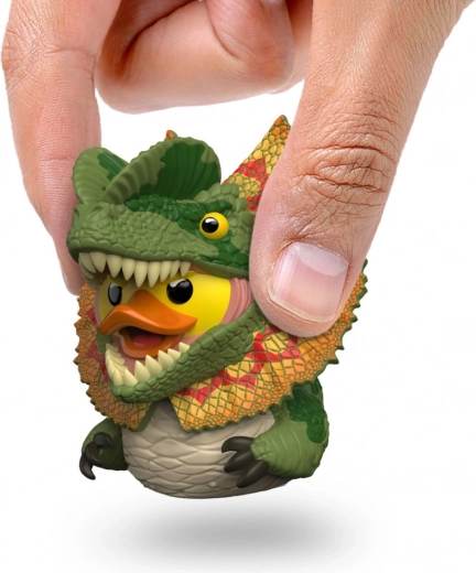 Ideal für Sammler und den Schreibtisch