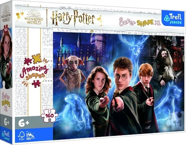 Harry Potter: Magische Welt Puzzle XL