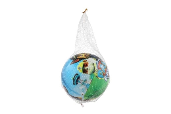 Paw Patrol Ball Aufblasbar 23cm in Netz