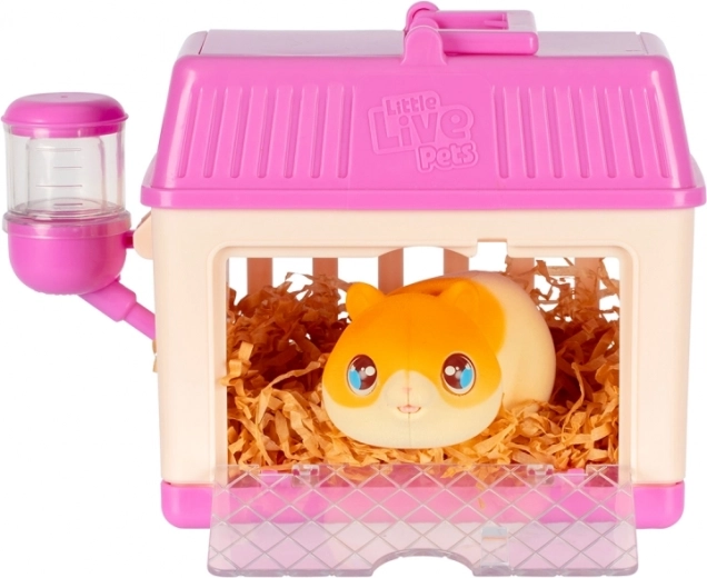 Fördert Empathie und Verantwortungsbewusstsein