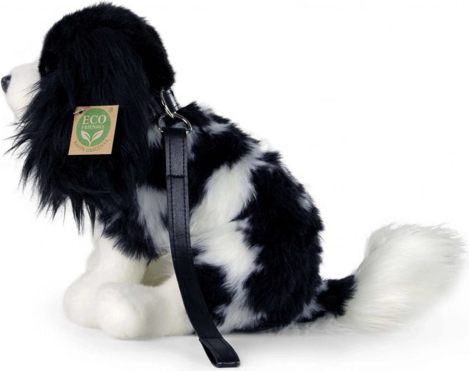 Leine für Spaziergang-Spiele