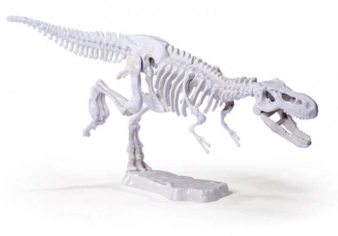 Ausgrabungsset Dinosaurier