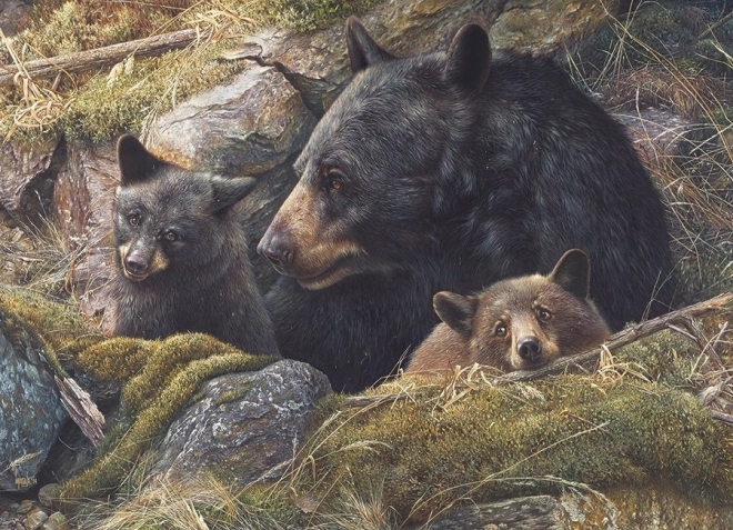 Puzzle Bärenfamilie von Cobble Hill 1000 Teile