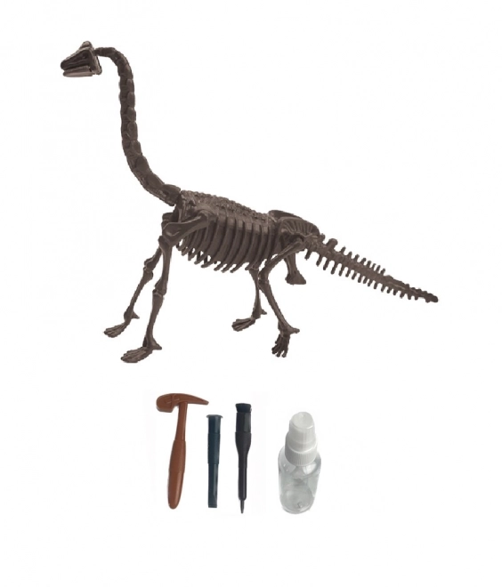 Archäologisches Set – Brachiosaurus