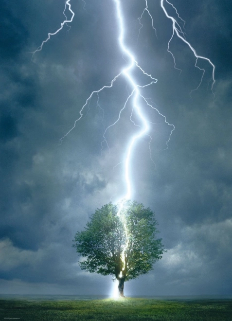 Puzzle Blitzgeschlagener Baum 1000 Teile