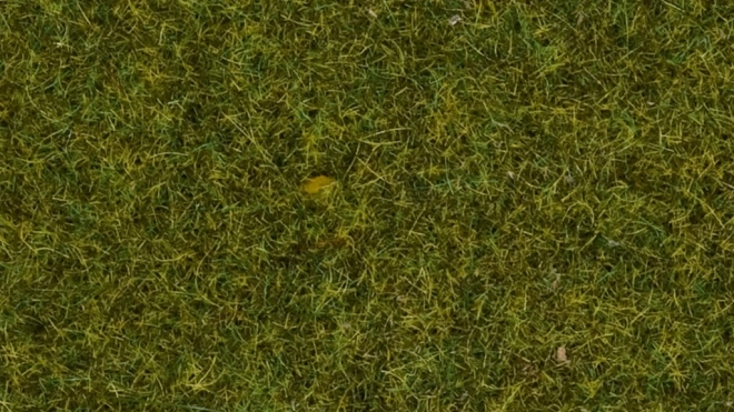 Statische Graswiese 4 mm