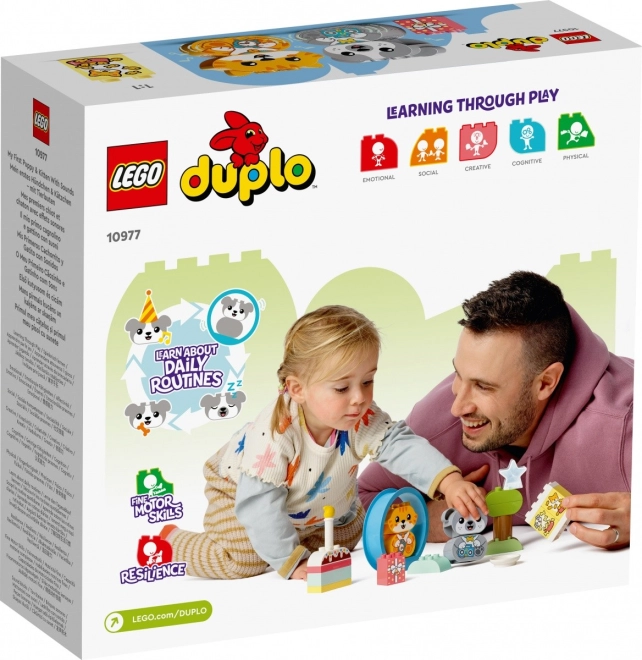 Bildendes und unterhaltsames Geschenk