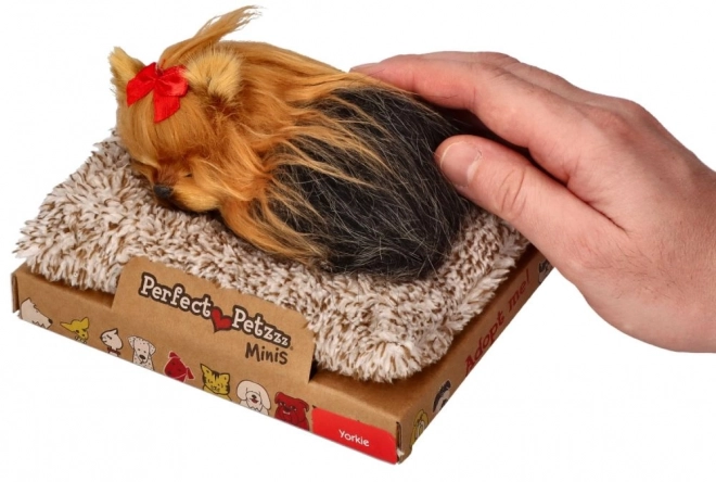 Perfektes Haustier kleiner Welpe York