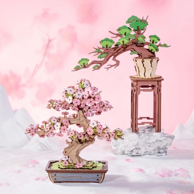 3D Holzpuzzle Bonsai Sakura