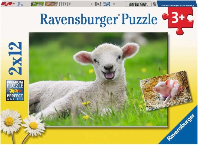Zwei niedliche Puzzles in einer Packung