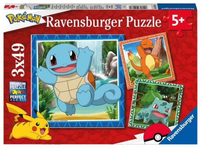 Pokémon Puzzle-Set