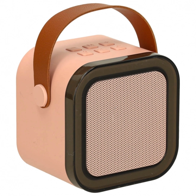 Karaoke-Set mit Mikrofon und tragbarem Bluetooth-Lautsprecher USB Led Rosa