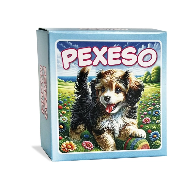 Pexeso Haustiere in Box - Blau