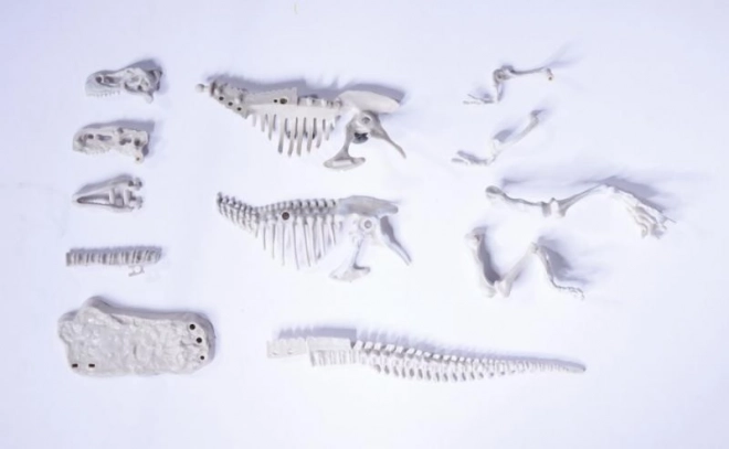 Ausgrabungsset Dinosaurier